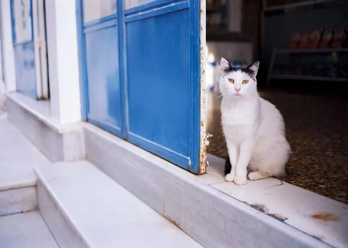 别墅 Phenomenal Mykonos Julietta 5 Bedrooms Private Jacuzzi *